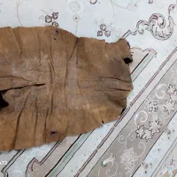 پوست بز|صنایع دستی و سایر لوازم تزئینی|ری, شهادت|دیوار