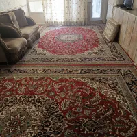 واحد دربست برای زوار گرامی امام رضا علیه السلام