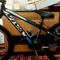 دوچرخه  ویوا اصل ویتنام