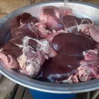 کله پاچه دومبه دلوجیگر فروشی|خوردنی و آشامیدنی|مسجد سلیمان, |دیوار