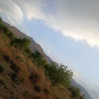 زمین-جیرفت-ساردو-معاوضه-با-پارس