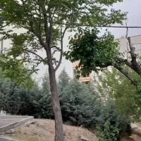 ۲۲۰۰ متر زمین تهران دشت