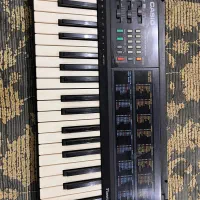 ارگ کاسیو|پیانو، کیبورد، آکاردئون|رشت, فرزانه|دیوار