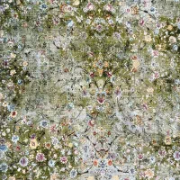 فرش کهنه بیار نو ببرر|فرش|تهران, نعمت‌آباد|دیوار