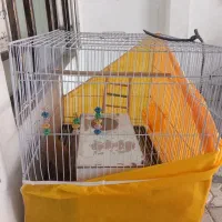 قفس پرنده