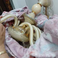 لوستر دوعدد|لوستر و چراغ آویز|مشهد, امیریه|دیوار