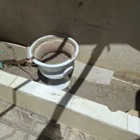 تعداد ۹ عدد گلدان سفالی