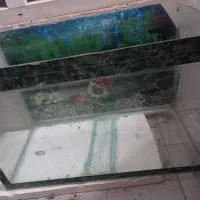 آکواریوم بزرگ