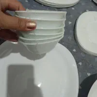 سرویس ۲۶ پارچه ارکوپال سفید ساده با قیمت مقطوع|ظروف سرو و پذیرایی|پاکدشت, پاکدشت (مامازند)|دیوار