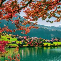 باغبانی باغچه کاری طراحی و محوطه سازی حرفه ایی