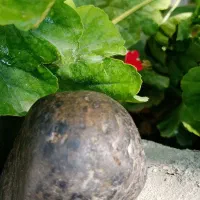 پالاسایت،|جواهرات|کبودرآهنگ, |دیوار