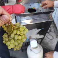آبگیری انگور سیار غفاری