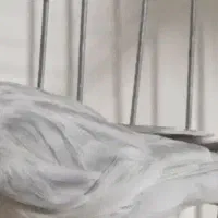 قناری رنگ خاص و کمیاب جفت|پرنده|کرمان, |دیوار