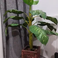 درجه مصنوعی