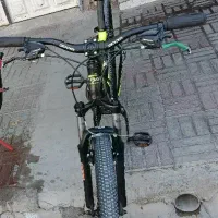 دو عدد دوچرخه ویوا اصل