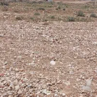 زمین دو نبش بر بلوار هاشم نژاد