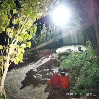 دوربین مداربسته کرکره برقی پنل خورشیدی|دوربین مداربسته|میانه, |دیوار