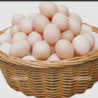 تخم مرغ محلی