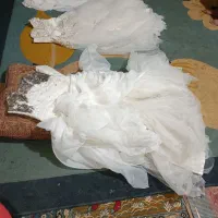 لباس عروس