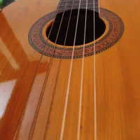 ساز گیتار|گیتار، بیس، امپلیفایر|اصفهان, شیخ طوسی|دیوار