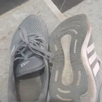 کفش تاناکورا سایز ۴۰و۴۱اندازه میشه