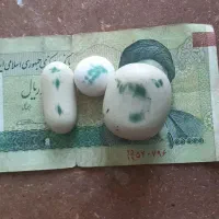 سنگ اسیاب