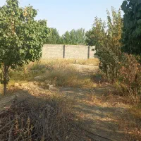 باغچه-700متری-بهر-خیابان-اصلی-رامجین