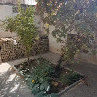 منزل  اجاره ای|اجارهٔ خانه و ویلا|خمینیشهر, |دیوار