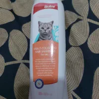 شامپوی مخصوص گربه bioline