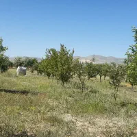 باغ شهر پردیس عباس آباد1000متری|فروش زمین و ملک کلنگی|سلطانیه, |دیوار