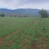 یک قطعه زمین زاراعی