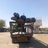 جمس GMC|خودرو سنگین|تهران, بهمن یار|دیوار