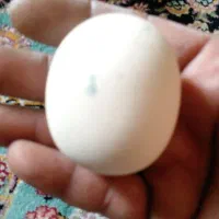 سنگ آسیاب|جواهرات|ورامین, خیر آباد|دیوار