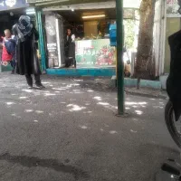 کارگر جهت سبزی خورد کنی