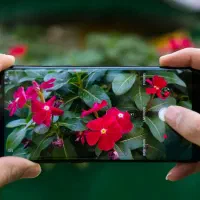 عکاسی حرفه ای با موبایل