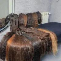 مرکز مو شعبه مرکزی