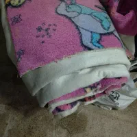 موکت|موکت|نسیمشهر, |دیوار