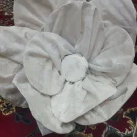 چادر عروس|لباس|بروجرد, |دیوار