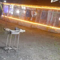 اجاره کلبه اتاق والاچیق در۵کیلومتری ماسوله