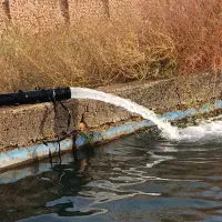 اجاره ۱۰۰ هکتار زمین کشاورزی برای کشت گوجه و خربزه