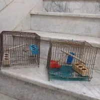 فروش و معاوضه دو عدد قفس پرنده با لوازم داخلش