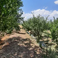 باغ-در-حسین-اباد-ناظر