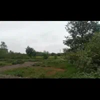 زمین|فروش زمین و ملک کلنگی|رشت, کوی یخ|دیوار