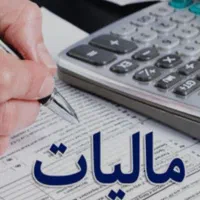 خدمات پروژه‌ای مالیاتی برای شرکت‌ها و مشاغل آزاد|خدمات مالی، حسابداری، بیمه|اصفهان, باغ دریاچه|دیوار