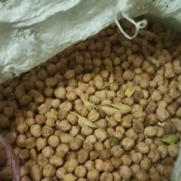 نخود|خوردنی و آشامیدنی|سلطانیه, |دیوار