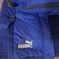 گاپشن و پالتو سایز ۳۸تا ۵۲