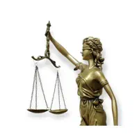 وکیل دادگستری و مشاور حقوقی