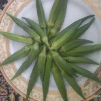 لوبیا و بامیه