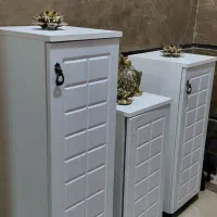 جا کفشی