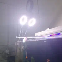 نور اکواریوم|ماهی|تهران, شهرک استقلال|دیوار